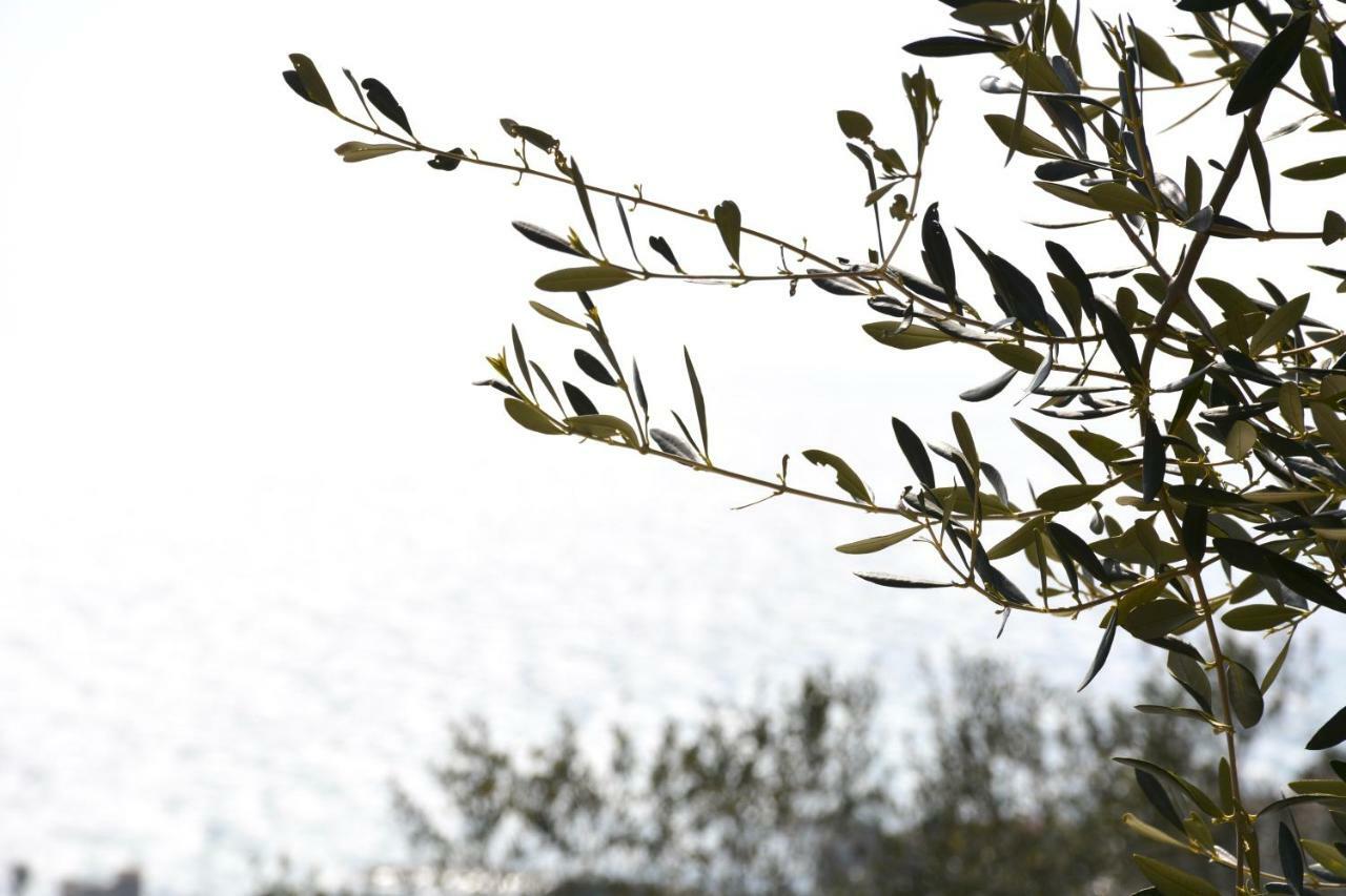 הוילה אימפריה La Torretta מראה חיצוני תמונה