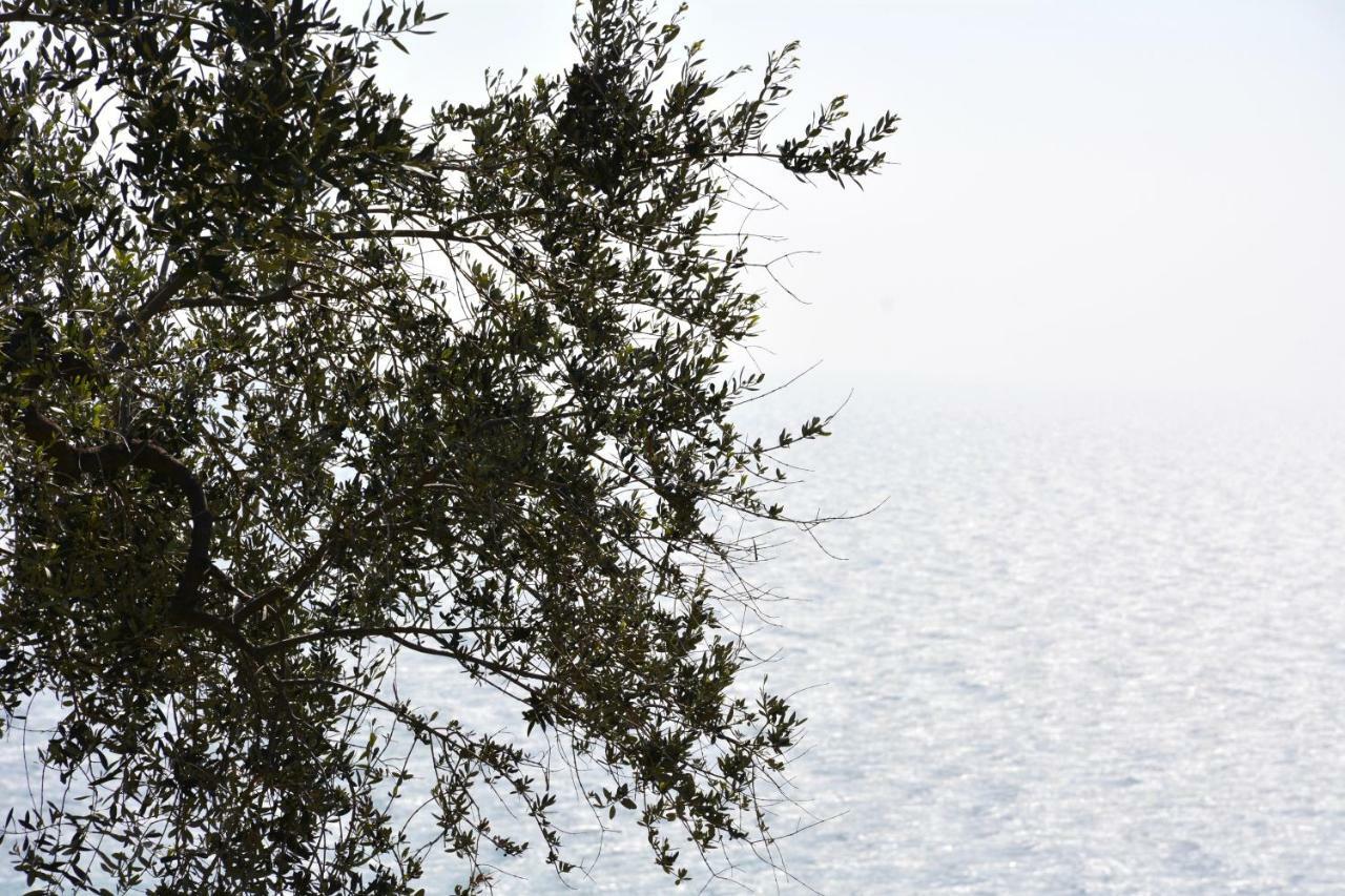 הוילה אימפריה La Torretta מראה חיצוני תמונה